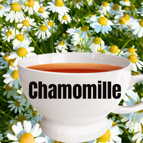 Chamomile Tea