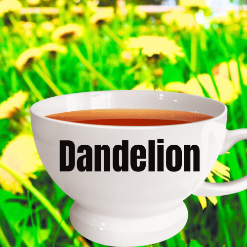 Dandelion Tea