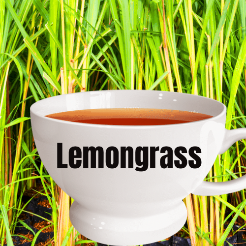 Lemongrass Tea