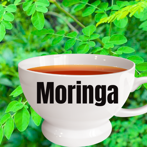 Moringa Tea