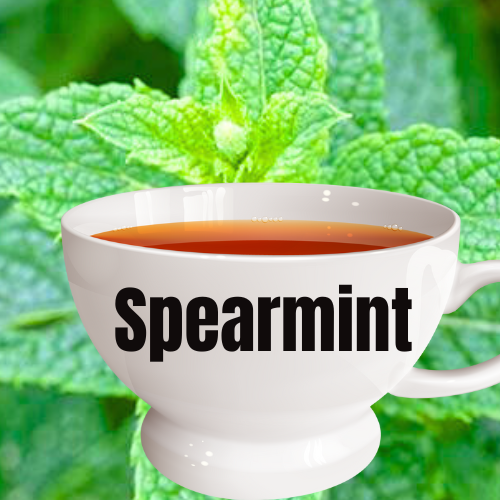 Spearmint Tea