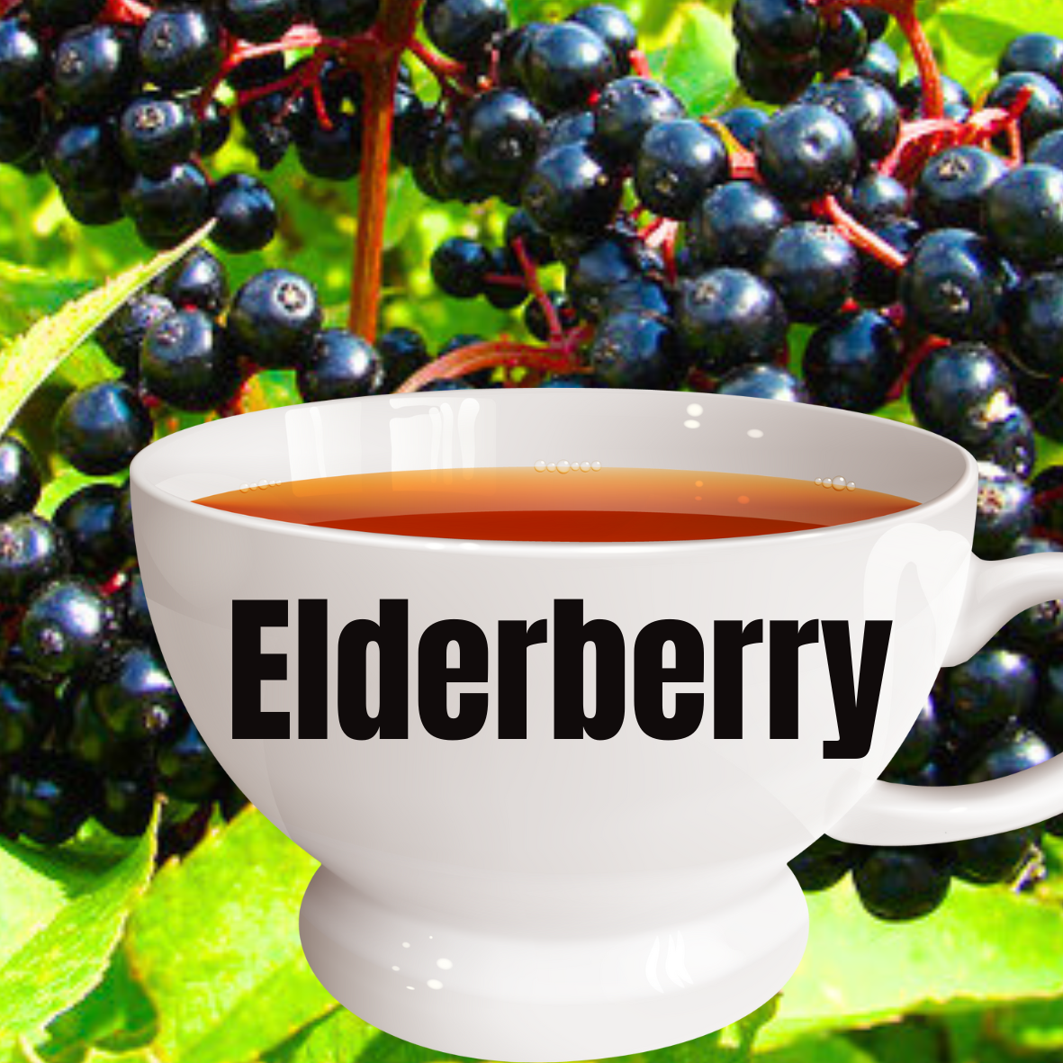 Elderberry Tea